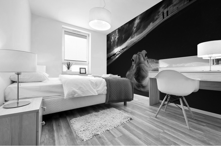 Evenin Turt Mural print