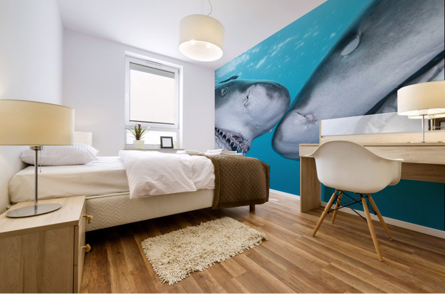 Nictitating Smile Mural print