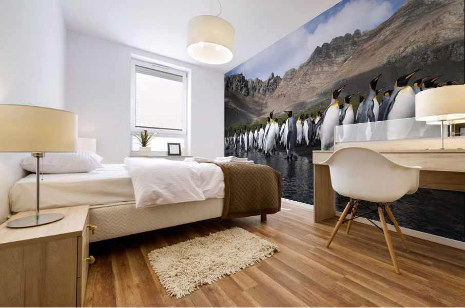 Southern Kings  Mural print