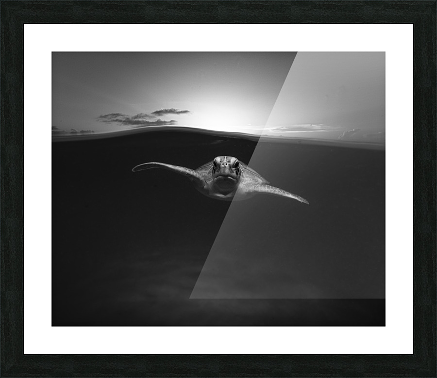 Fissure Picture Frame print