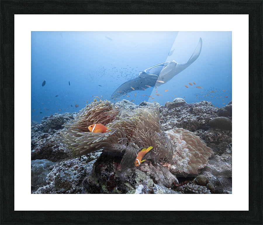 Clown Town Picture Frame print
