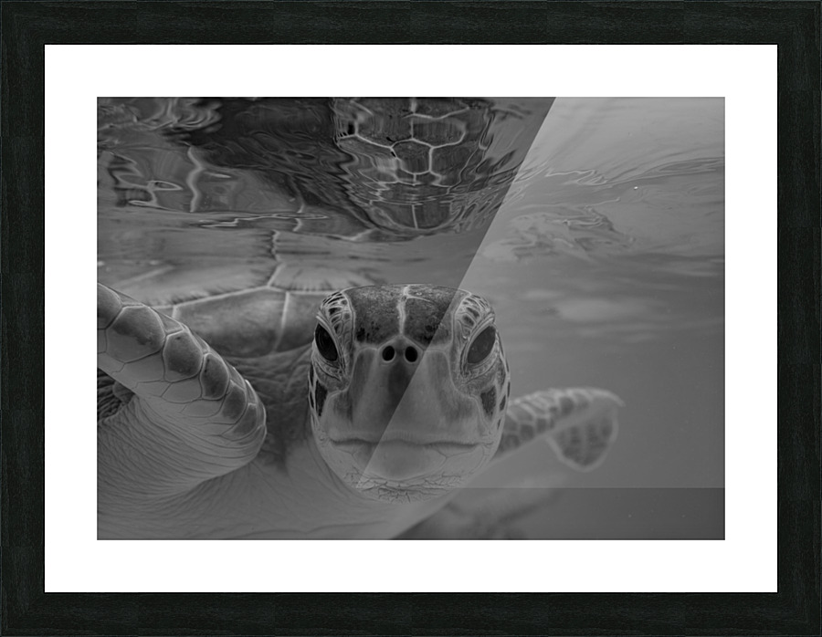 Soul Searching Picture Frame print