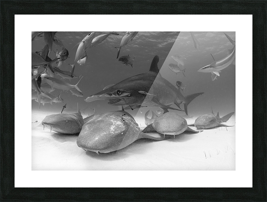 Nurses Hammer Picture Frame print