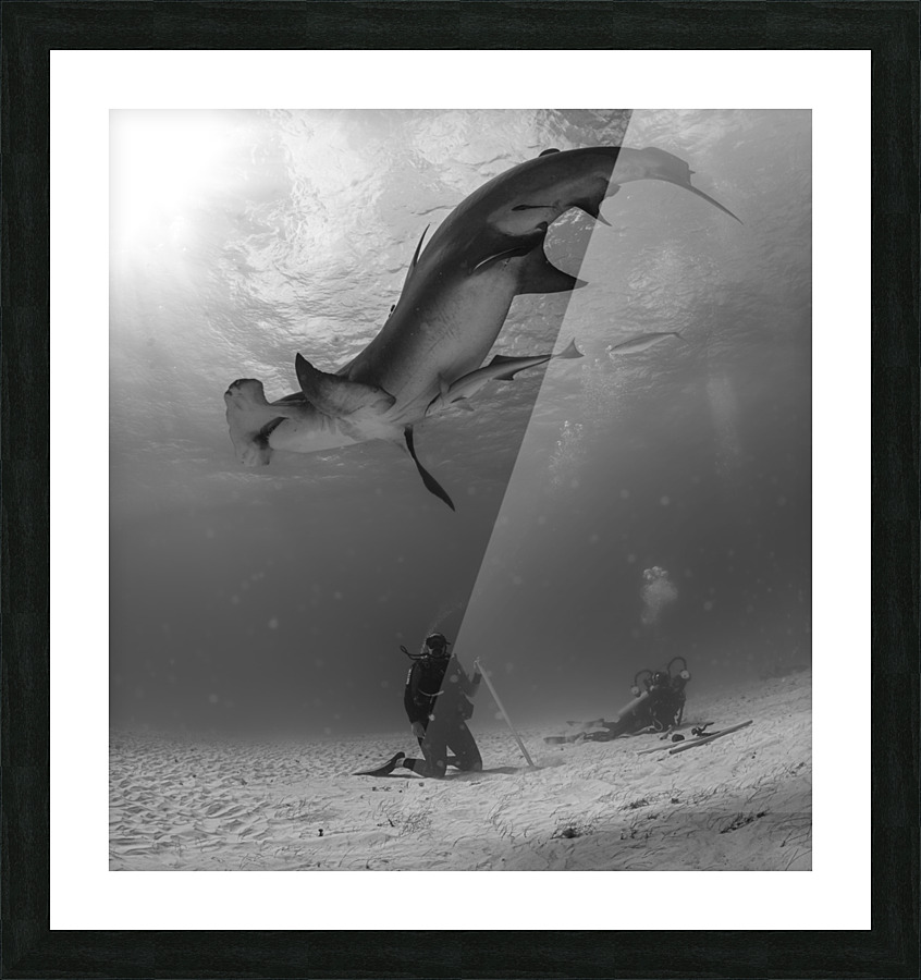 Twisted Sisters Picture Frame print