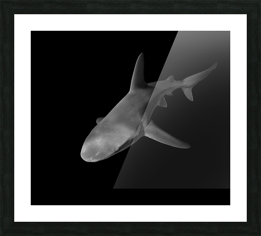 Red Eye Picture Frame print