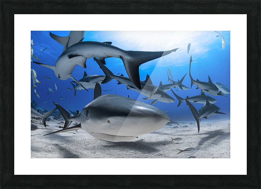 Cerulean Cyclone Picture Frame print