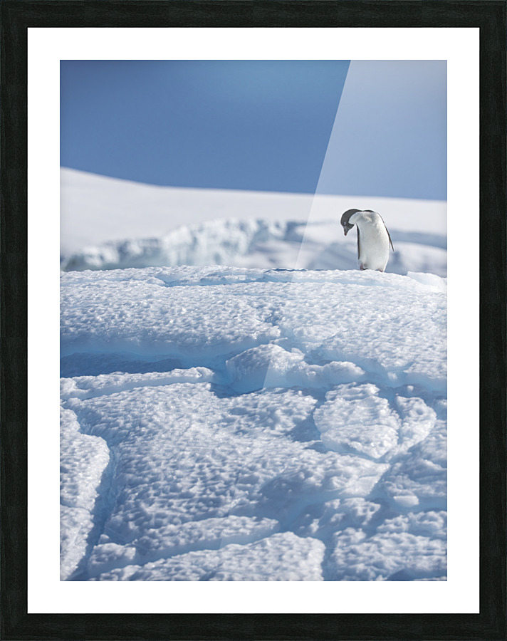 Blue Bystander Picture Frame print
