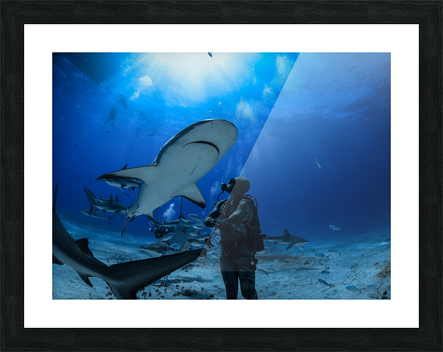 Shuttle Picture Frame print
