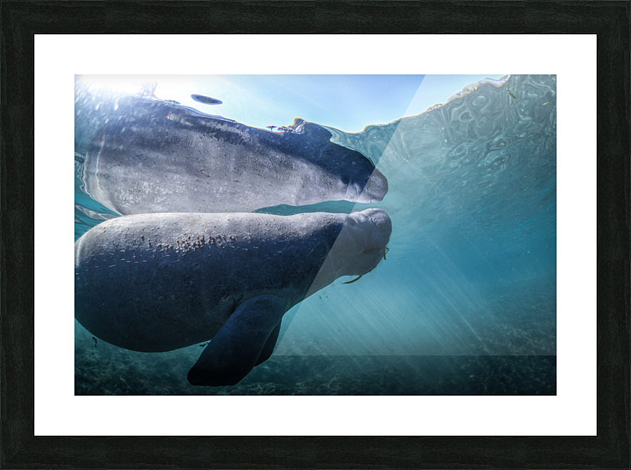 Reflectee Picture Frame print