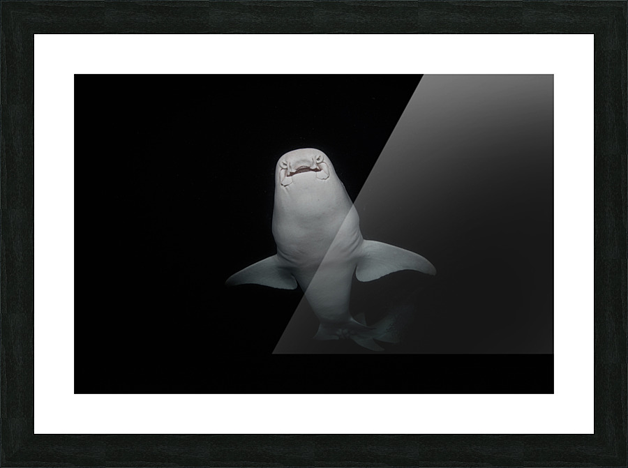 Underbite Picture Frame print