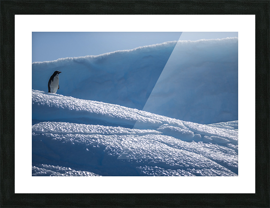 Sapphire Slide Picture Frame print