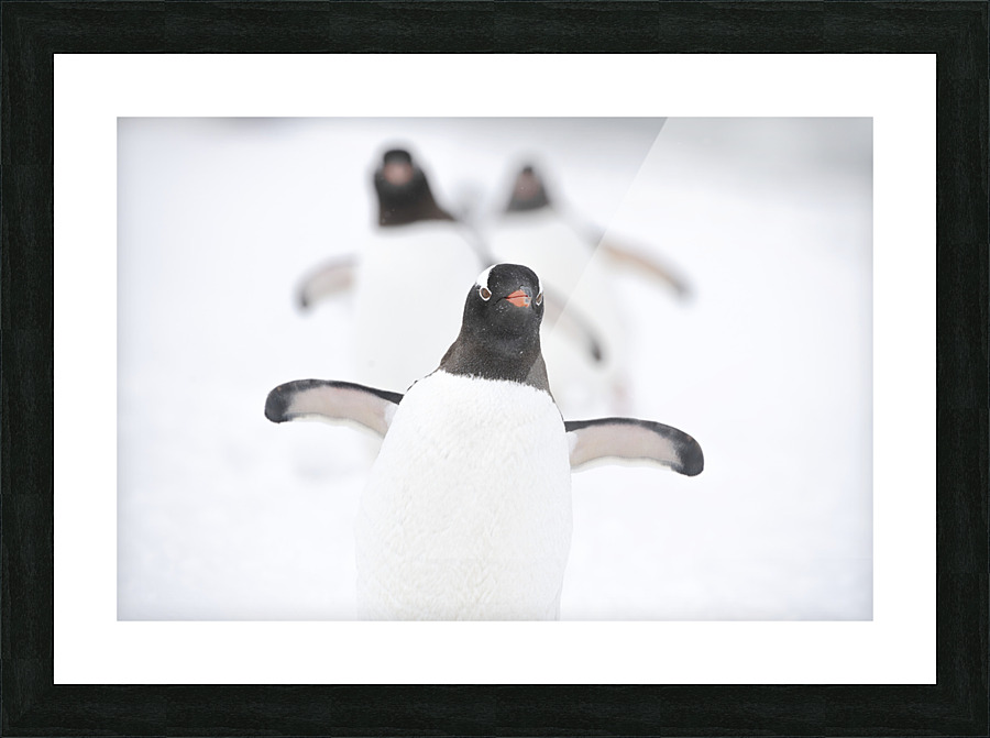 Triquetrum Picture Frame print