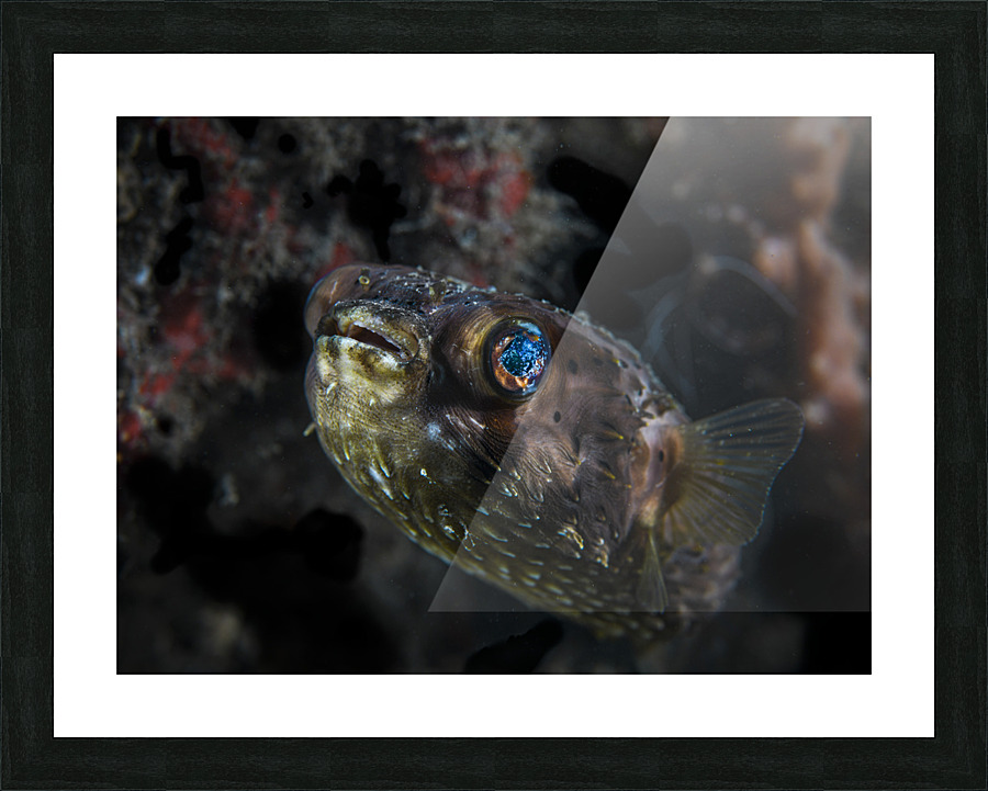 Galaxy Picture Frame print
