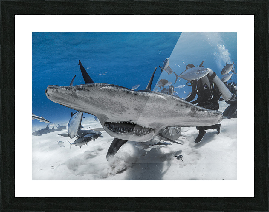 Blind Side Picture Frame print