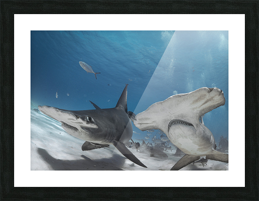Wingmen Picture Frame print