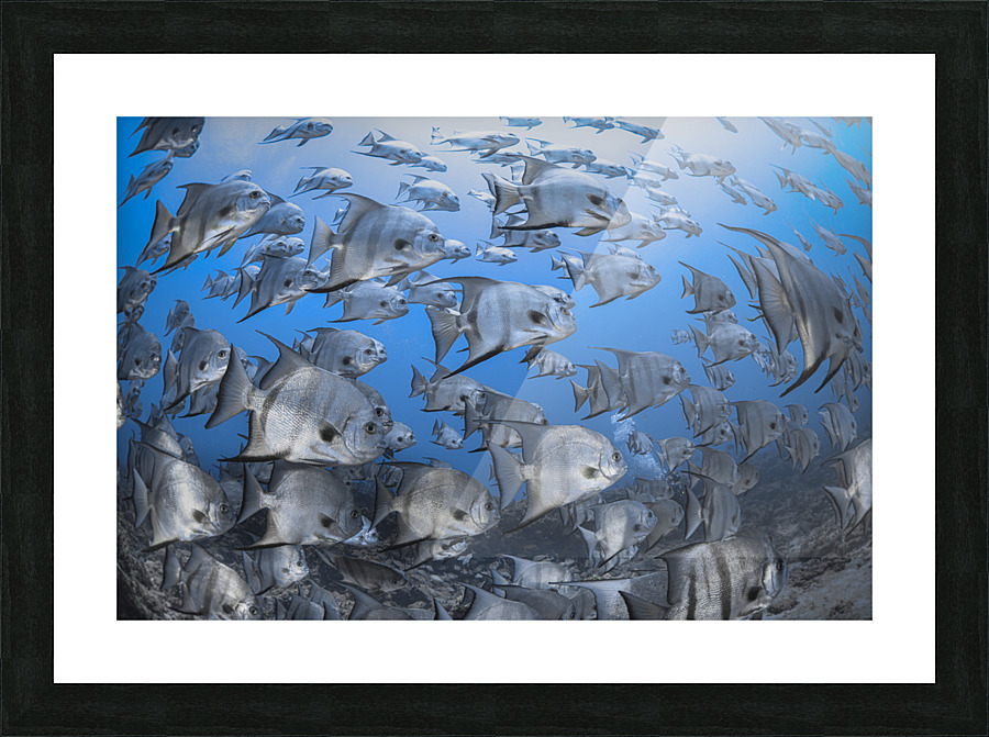 Shallow Shoal Picture Frame print