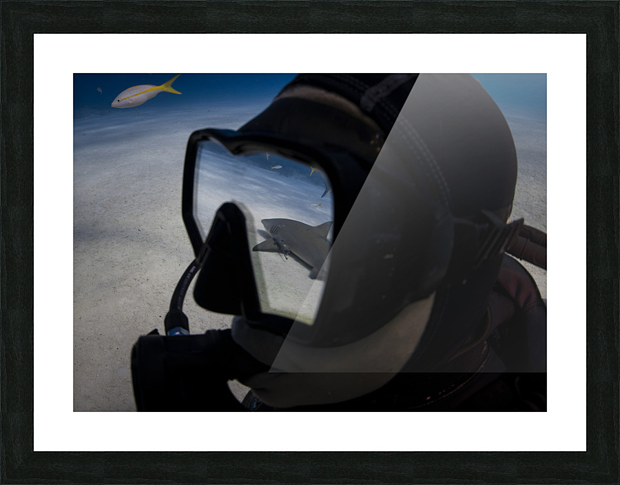 Mirror Mirror Picture Frame print