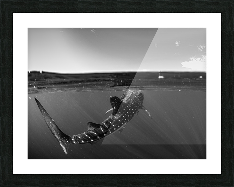 Caudal Chasm Picture Frame print