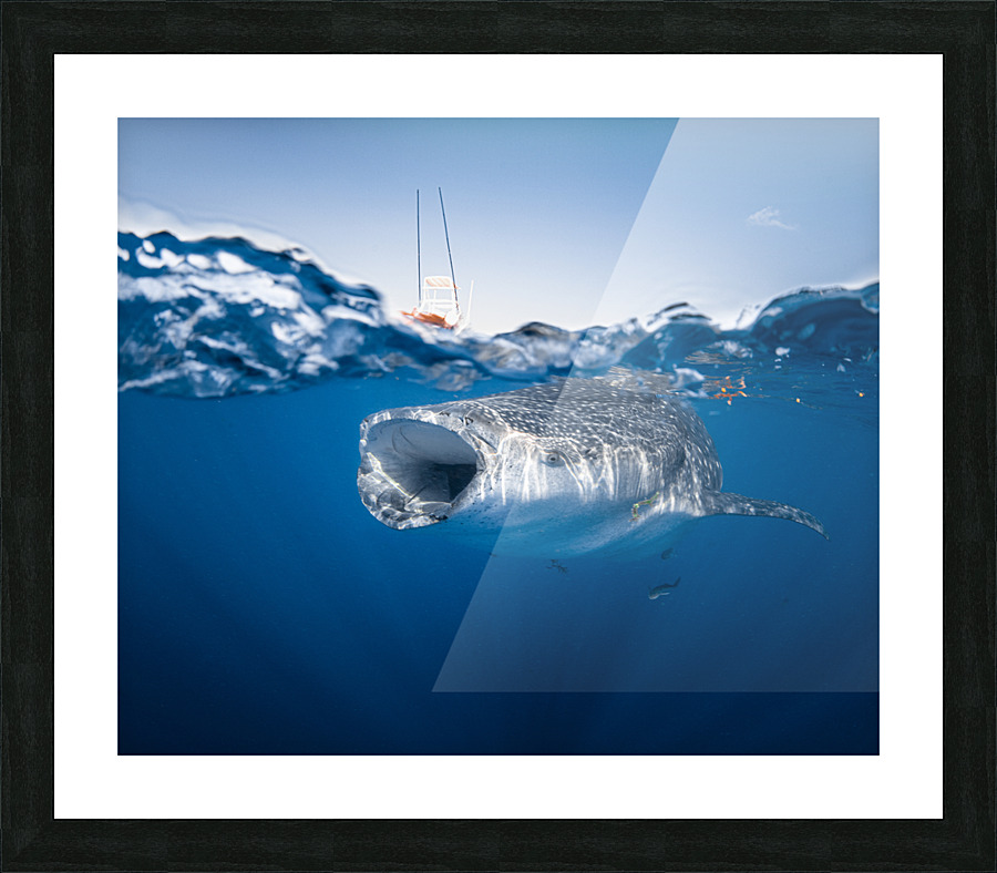 Big Gulp Picture Frame print