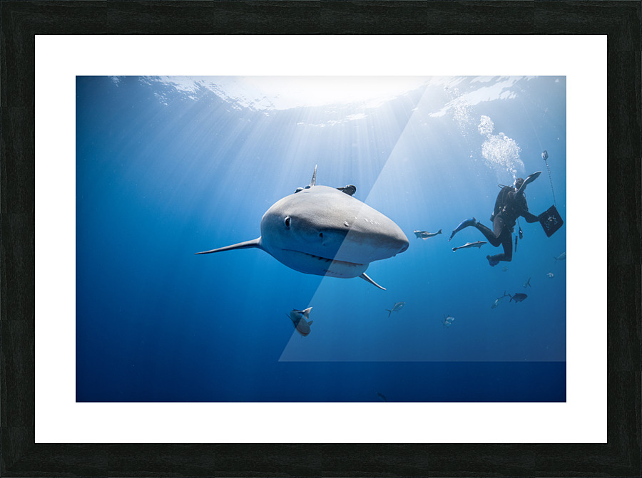 Glimmer Picture Frame print