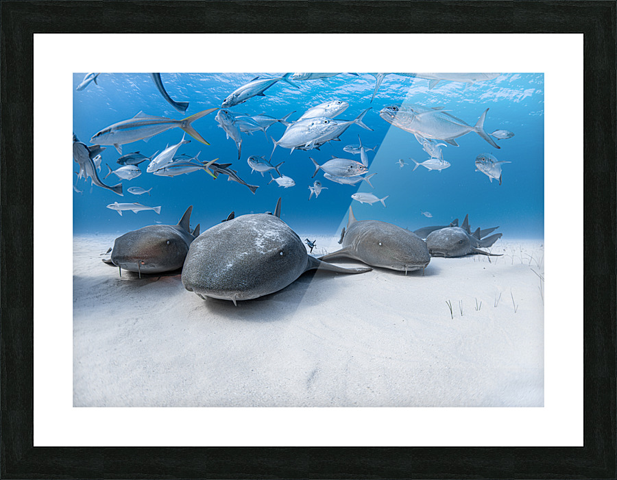 Nurses Lounge Picture Frame print