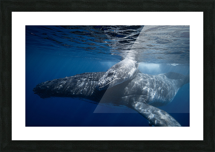 Bond Picture Frame print