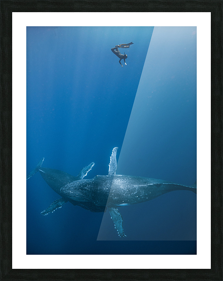 Allure Picture Frame print