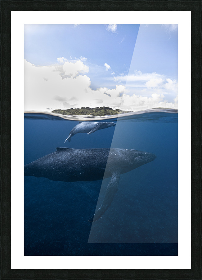 Humpback Isle Picture Frame print