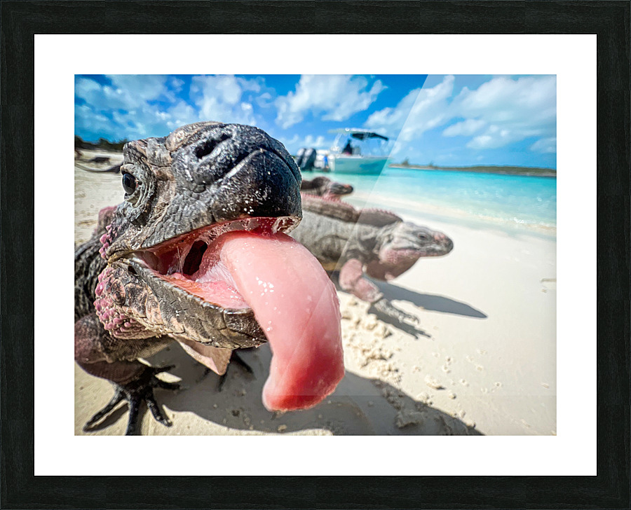 Wazaaap Picture Frame print