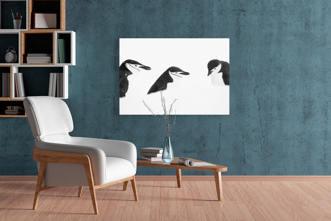 The Three Reproduction