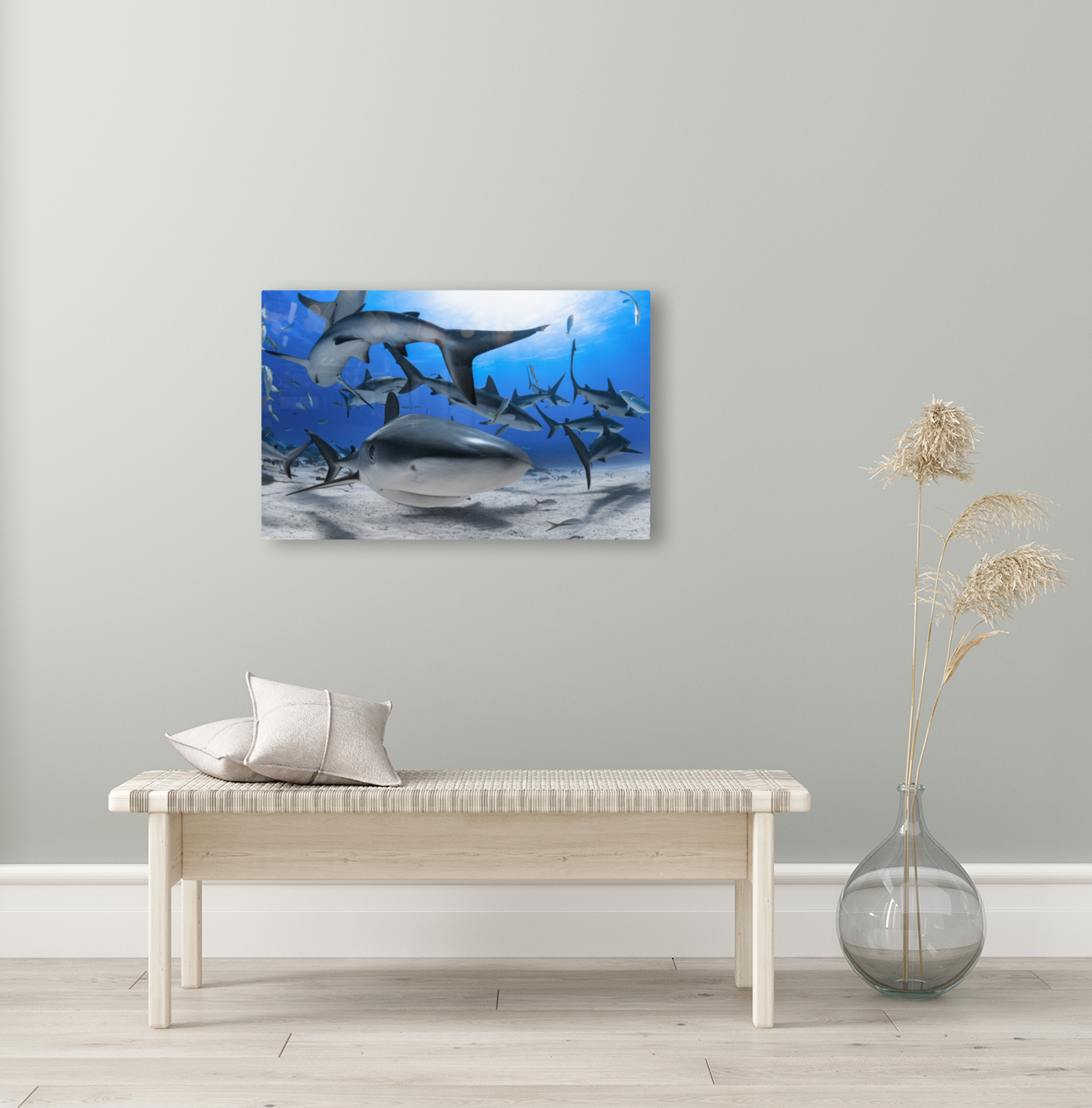 Cerulean Cyclone Reproduction