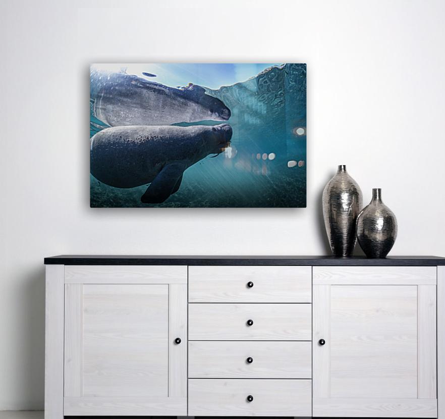 Reflectee Reproduction