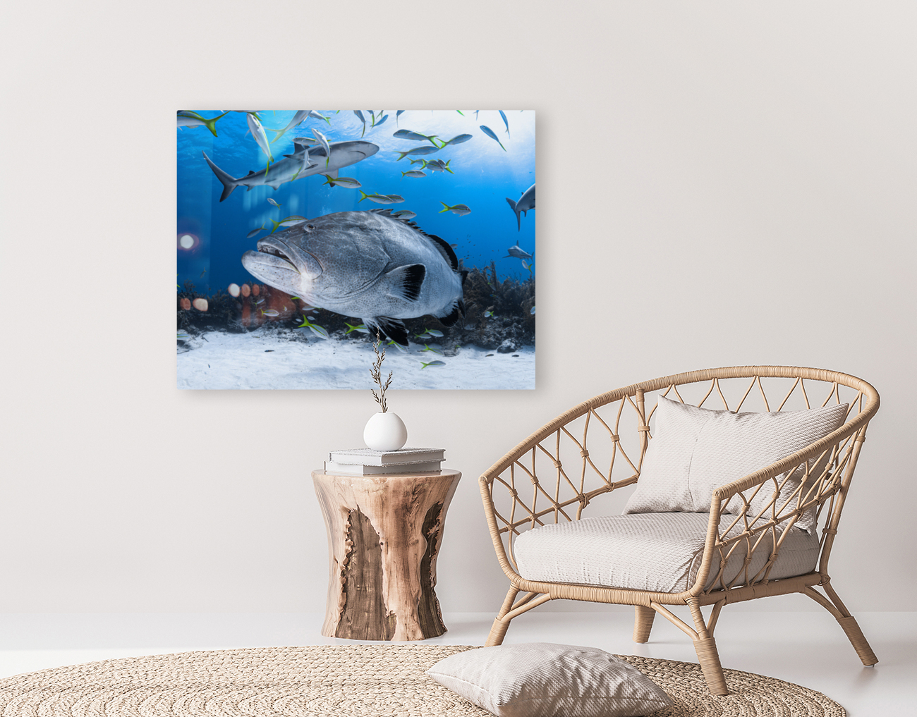 Trooper Grouper Reproduction