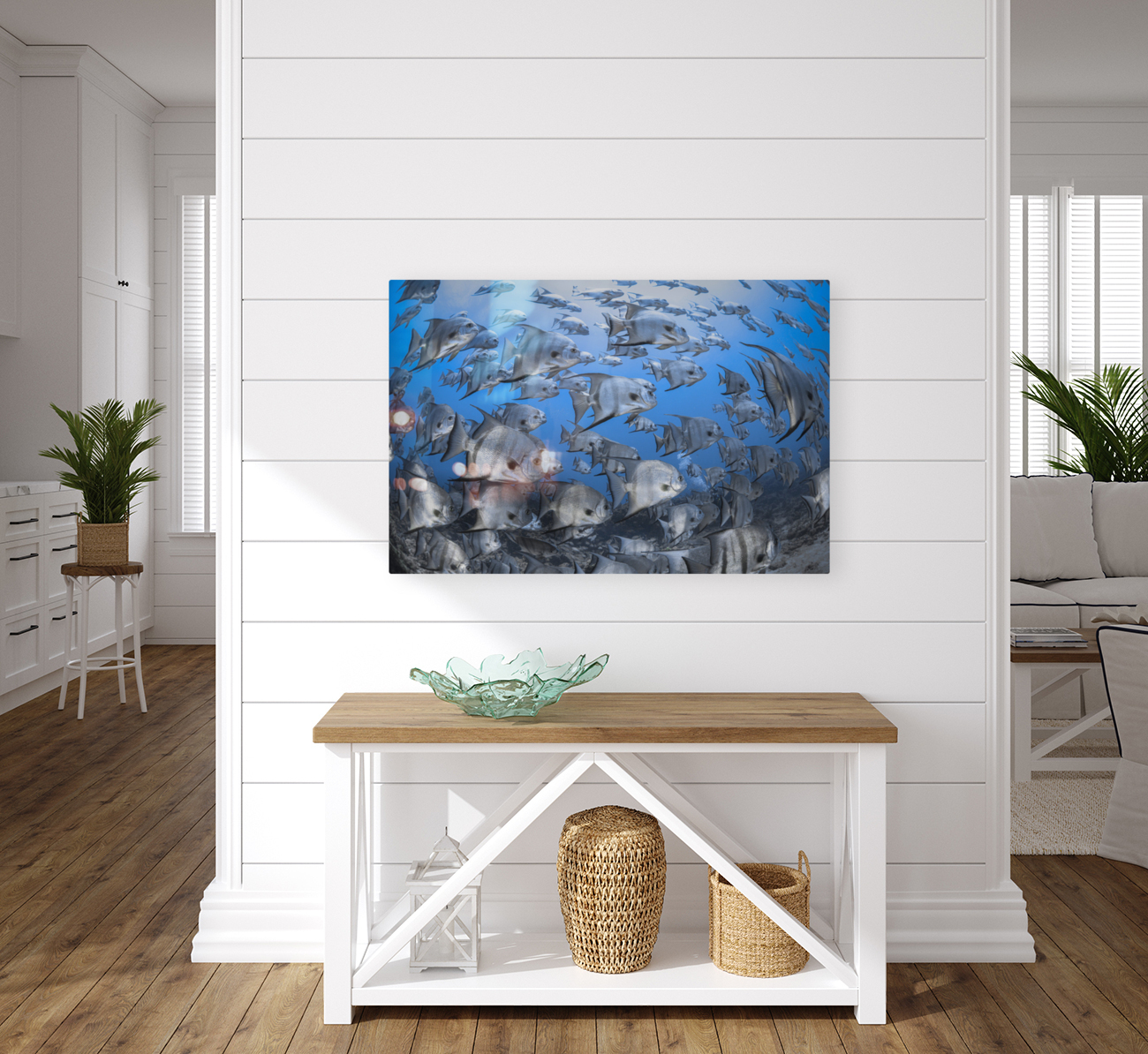 Shallow Shoal Reproduction