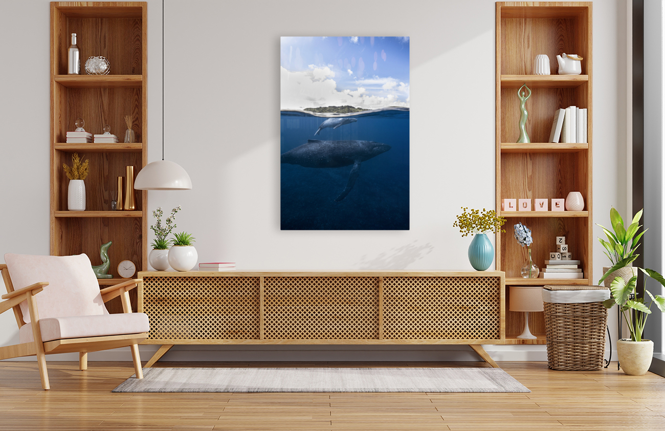 Humpback Isle Reproduction