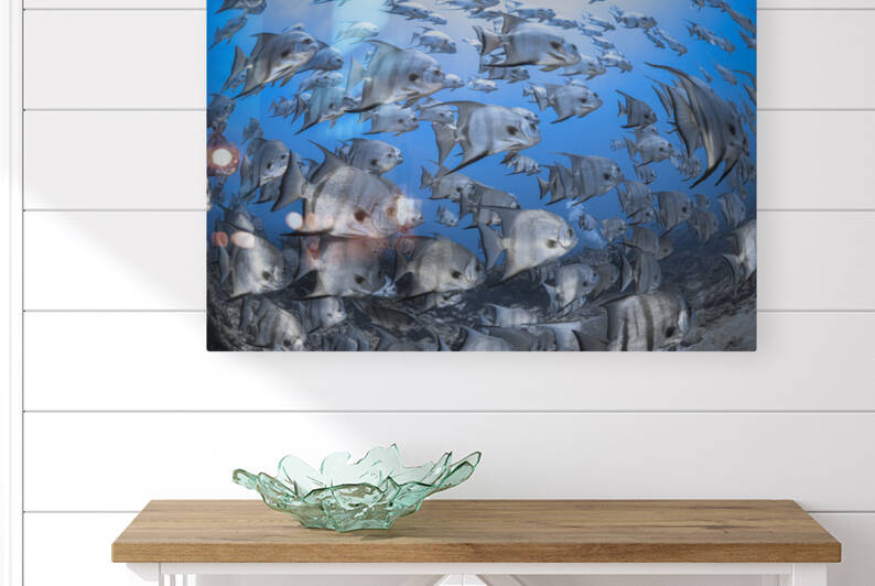 Shallow Shoal by Hanan Atia