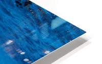 Blue Bird HD Metal print