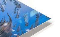 Shallow Shoal HD Metal print