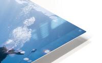 Glimmer HD Metal print