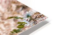 3Panel HD Metal print