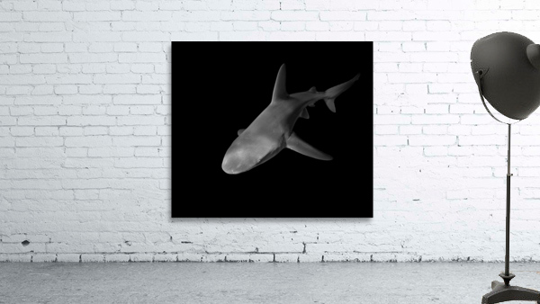 Red Eye Wall Preview