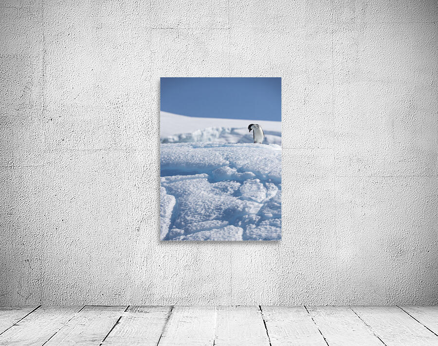 Blue Bystander Wall Preview