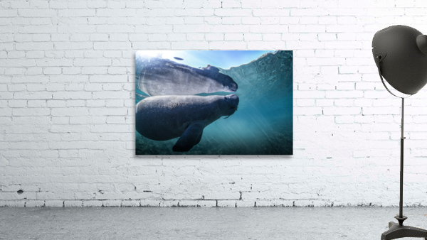 Reflectee Wall Preview