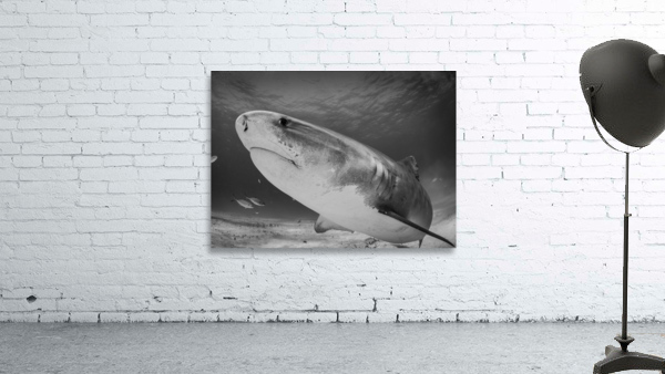 Requiem Wall Preview