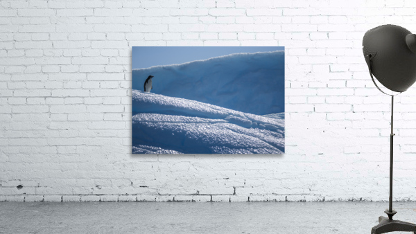 Sapphire Slide Wall Preview