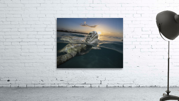 Sunset Sigh Wall Preview