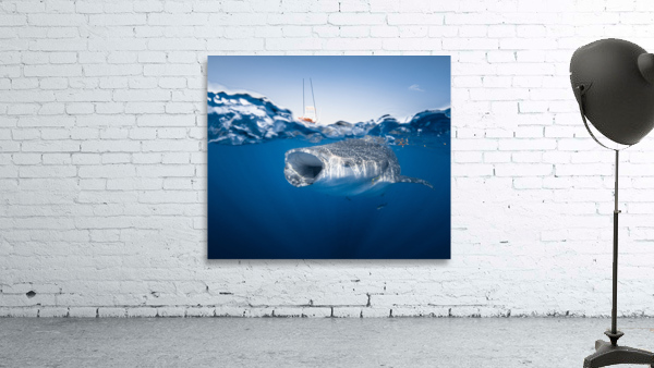 Big Gulp Wall Preview