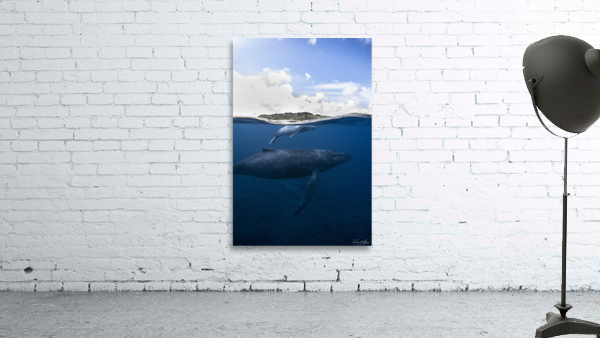 Humpback Isle Wall Preview
