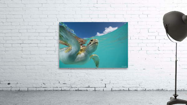 Fly Free Wall Preview