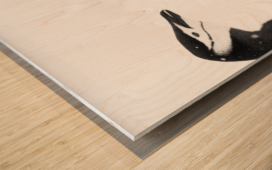 The Three Wood print